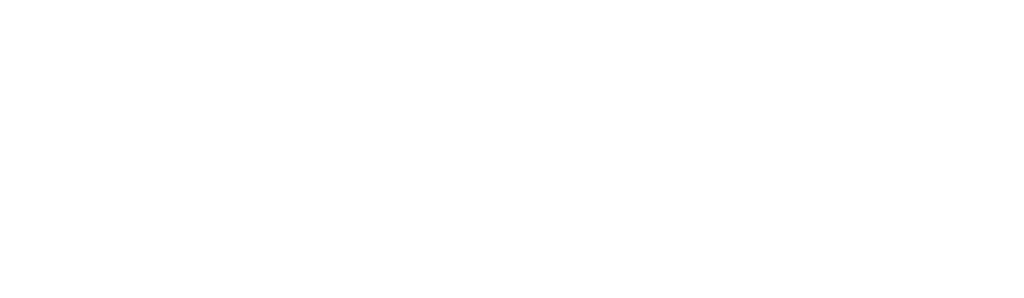 Parks Aviation Logo-White